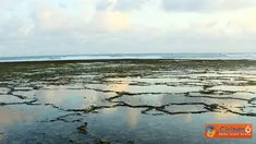 Citizen6, yogyakarta: Pentai Sundak terletak di di wilayah Desa Sidoharjo, Kecamatan Tepus, Kabupaten Gunungkidul, Yogyakarta. Pantai Sundak merupakan pantai alami berpasir putih yang jarang dikunjungi wisatawan. (Pengirim: Key)