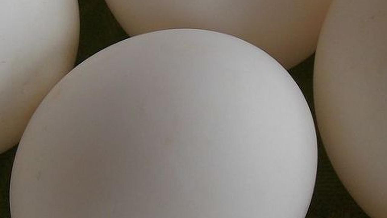 <b>4. Telur</b>