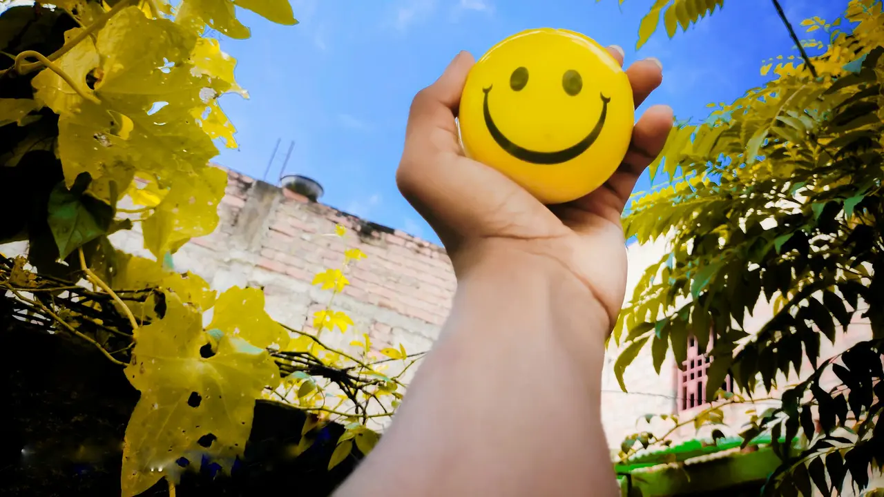 Enjoy Life