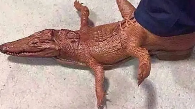 Sepatu aneh dan unik (photo: Instagram crimesagainstshoemanity/boredpanda)