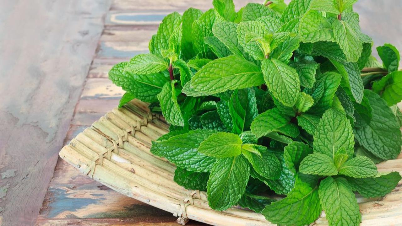 3. Meredakan Gejala Pilek dan Flu<br>