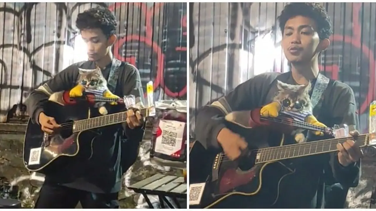 Aksi Pria Bawa Kucing saat Ngamen Ini Bikin Gemas Netizen, Bisa Bayar Pakai QRIS