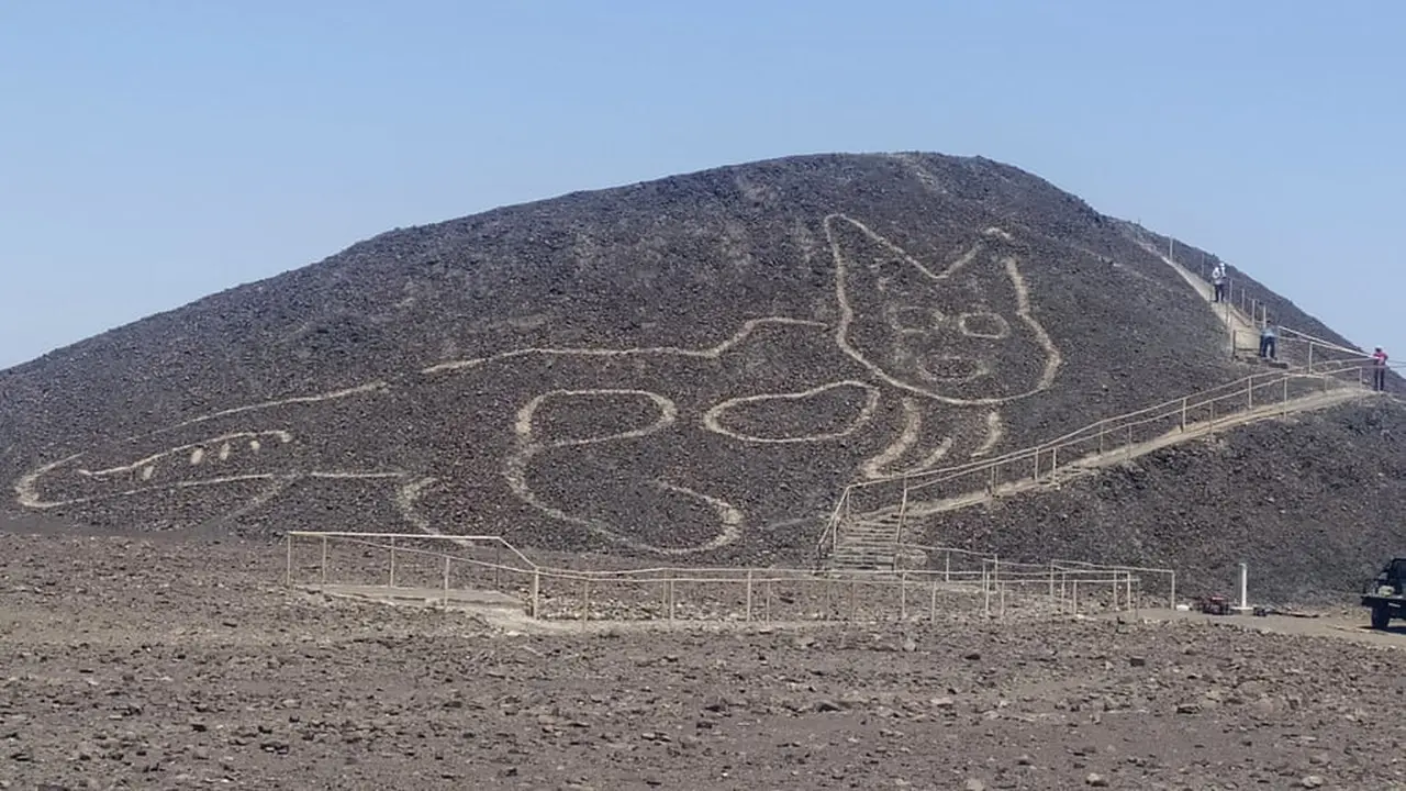 Gambar kucing raksasa di lereng gurun Nazca, Peru. (Jhony Islas/AP)