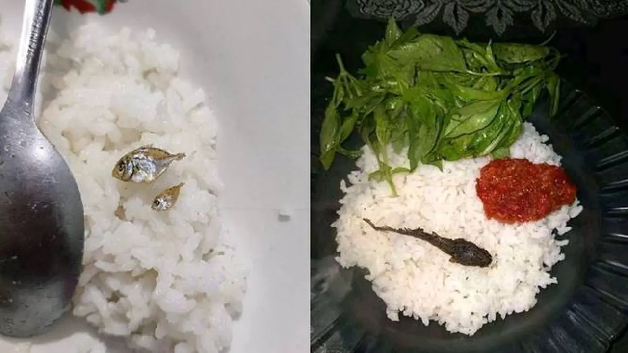 7 Potret Menu Makan Nyeleneh Lauknya Irit Banget Ini Bikin Kasihan