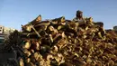 Seorang pedagang menata tumpukan kayu untuk dijual di sebuah pasar di Sanaa, Yaman, pada 5 November 2020. Penduduk Yaman beralih menggunakan kayu untuk memasak karena kekurangan pasokan bahan bakar. (Xinhua/Mohammed Mohammed)