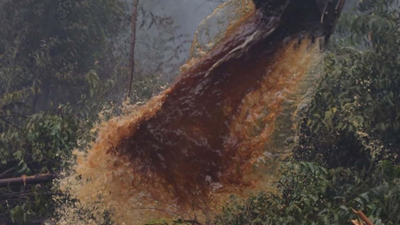 Kisah pekerja kebun kelapa sawit berjibaku padamkan kebakaran hutan