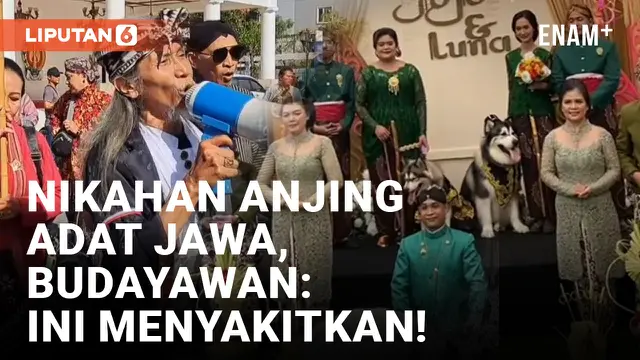 Video Nikahan Anjing Beradat Jawa Dikritik Kelompok Penggiat Budaya di Yogyakarta