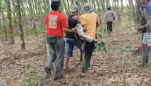 Kepala Desa (Kades) Braja Asri, Kecamatan Way Jepara, Kabupaten Lampung Timur, atas nama Darusman, tewas diserang gajah liar saat ikut menghalau kawanan satwa yang hendak masuk ke permukiman dan perkebunan warga. (Foto: Istimewa)