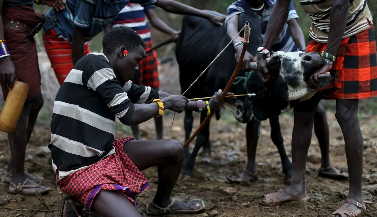 Sejumlah pria muda Pokot saat ingin membunuh hewan ternak selama upacara Sapana di Baringo County, Kenya , (20/1). Pria dari masyarakat Pokot harus menjalani ritual ini untuk menjadi dewasa. (REUTERS / Siegfried Modola)