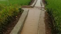 RJIT Kementan Targetkan 50 Ha Lahan Terairi di Cikancung Bandung