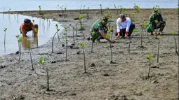 Penanaman ribuan bibit mangrove ini melalui program pembinaan lingkungan hidup tahun anggaran 2023. (CHAIDEER MAHYUDDIN/AFP)