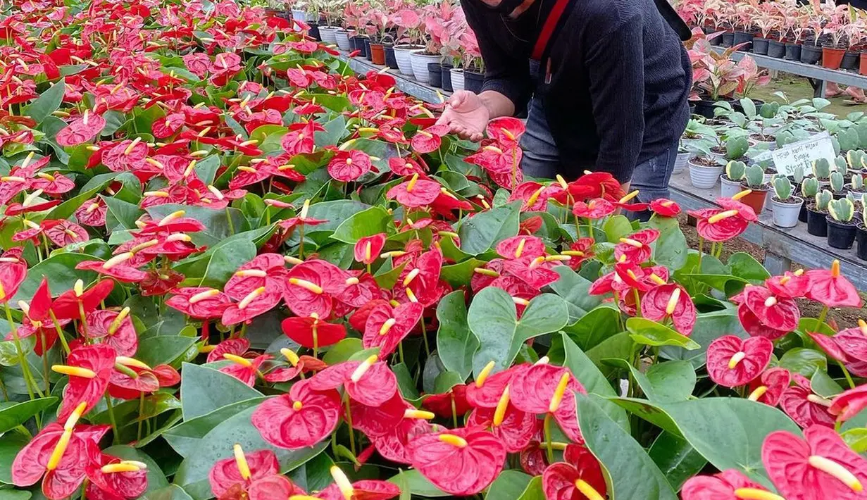 Anji Manji (Instagram/winatalia)