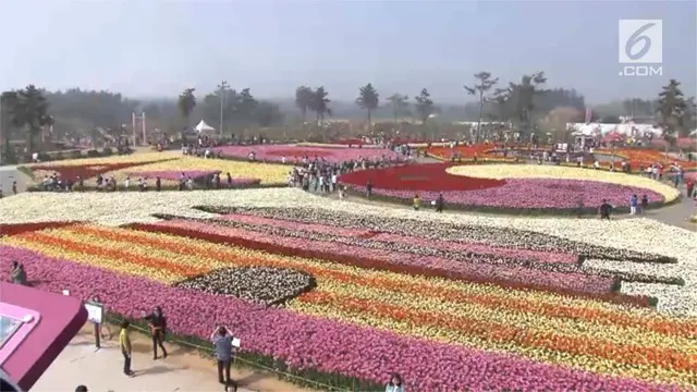Sebuah festival tulip di Korea Selatan dinobatkan sebagai festival tulip terindah di dunia.