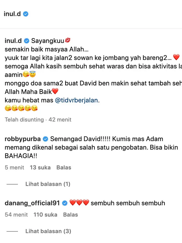 Cuitan Inul Daratista. (Foto: Dok. Instagram @inul.d)