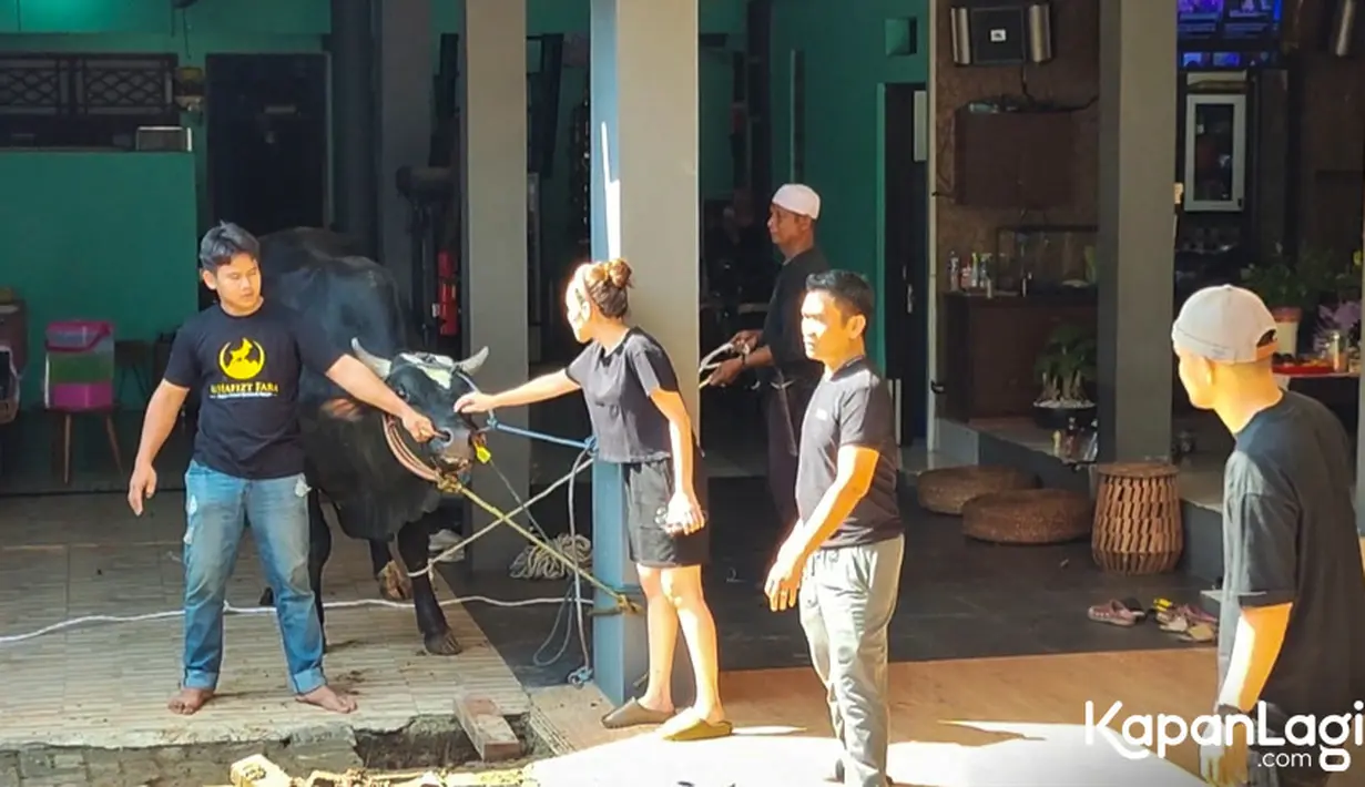 <p>Sebelumnya, sempat ada momen menegangkan ketika sapi kurbannya akan dipotong. Sapi yang beratnya lebih satu ton itu sempat mengamuk hingga membuat orang yang akan memotong kewalahan. Setelah berhasil ditenangkan, Ayu juga mendekat dan menenangkan sapi dengan mengusap kepalanya.&nbsp;[Foto: Muhammad Akrom Sukarya/KapanLagi.com]</p>
