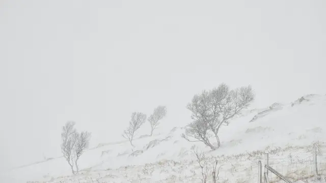 Ilustrasi Badai Salju