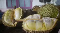 Mengenal Durian Montong Oranye, Si Legit dari Banyumas