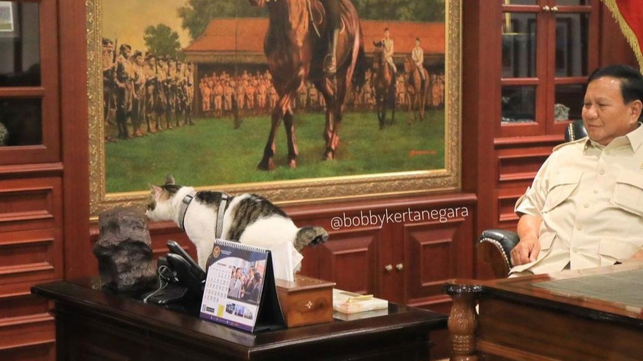 Naik Pangkat Kucing Bobby Kesayangan Presiden Prabowo, Kini Sah Jadi 'Penguasa Istana