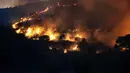 Kebakaran hutan yang dipicu angin kencang dan cuaca panas melanda wilayah Provinsi Izmir bagian barat Turki memasuki hari kedua pada Senin (30/6/2025) waktu setempat. (Ahmet Ayberk Cimen/AFP)