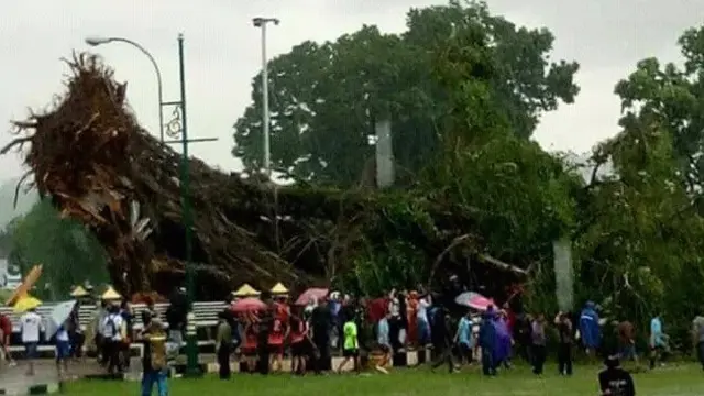 Beringin Tua di Alun-Alun Banjarnegara Tumbang, 1 Warga Tewas