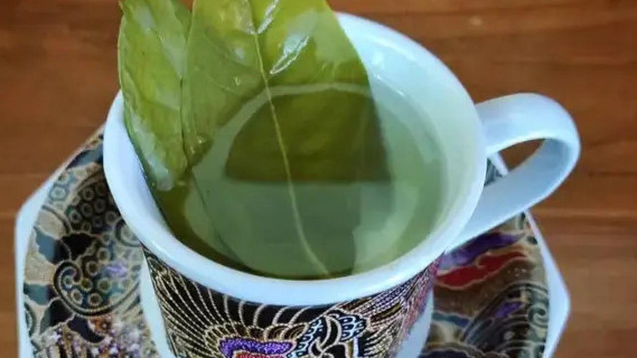 Resep Rebusan Daun yang Ampuh Turunkan Kadar Gula Darah yang Tinggi