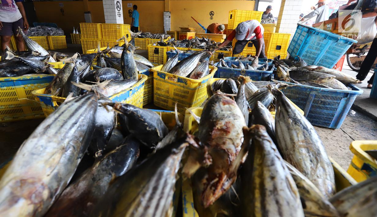 Nelayan memindahkan ikan laut hasil tangkapan di Pelabuhan Muara Angke, Jakarta, Kamis (26/10). Menurut Kementerian Kelautan dan Perikanan (KKP), ekspor perikanan naik 7,21 persen dibanding periode yang sama tahun 2017. (Liputan6.com/Angga Yuniar)