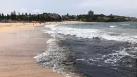 Abu hitam tebal dari kebakaran hutan mengubah pantai-pantai Sydney dengan air birunya yang ikonik menjadi lumpur arang. (Twitter/Dr Emma El Johnston)