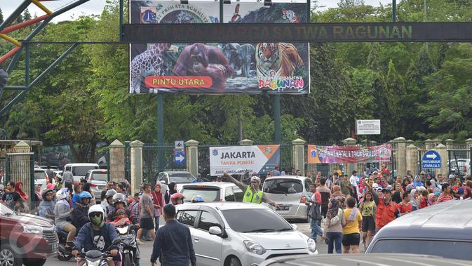 Ragunan Padat Pengunjung: Panduan Lokasi Parkir Ekstra Agar Liburan Tetap Nyaman