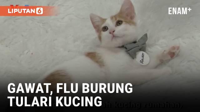 Virus flu burung H5N1 kembali menjadi perhatian pejabat kesehatan AS memasuki 2025, dengan adanya kasus pada manusia dengan gejala parah dan juga meluasnya virus menulari kucing dan anjing. Sepanjang 2024 lalu, terjadi perebakan flu burung di sebagia...