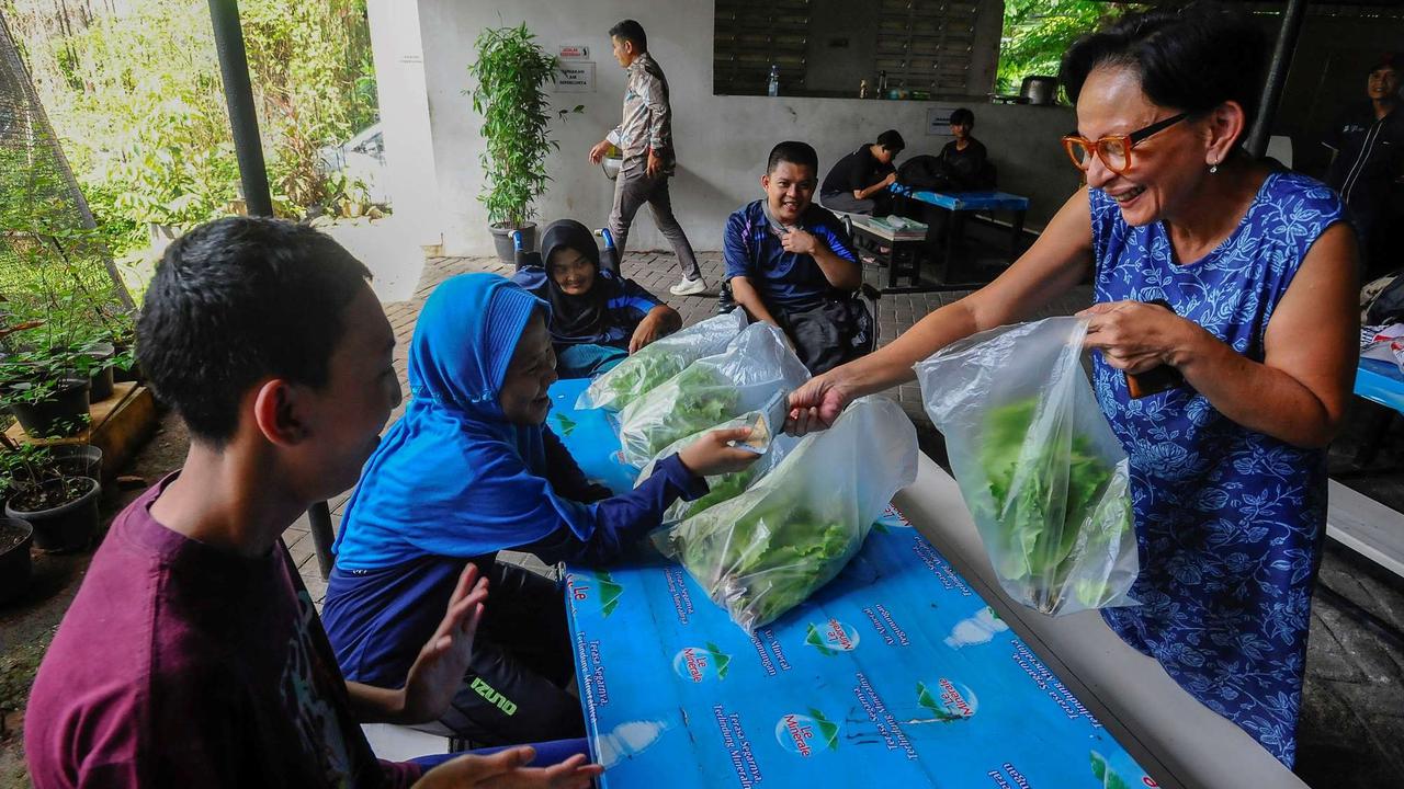 Murid difabel panen selada air di kebun hidroponik YPAC