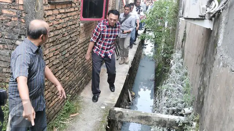 Ahok