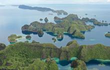 Gokil, Anak-anak Papua Bermain dengan Seekor Ikan Paus di Laut Raja Ampat