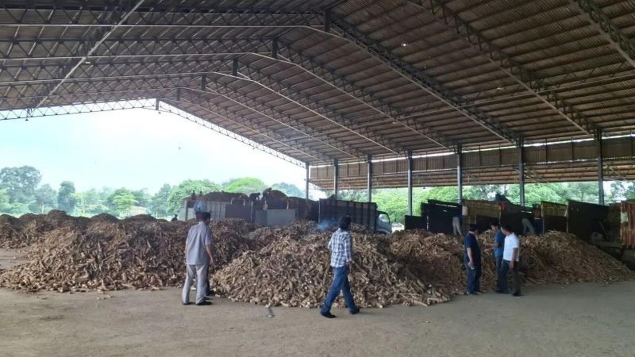 Pemprov Lampung Apresiasi Perusahaan Patuh Pergub Tata Kelola Singkong, Jaga Kesejahteraan Petani