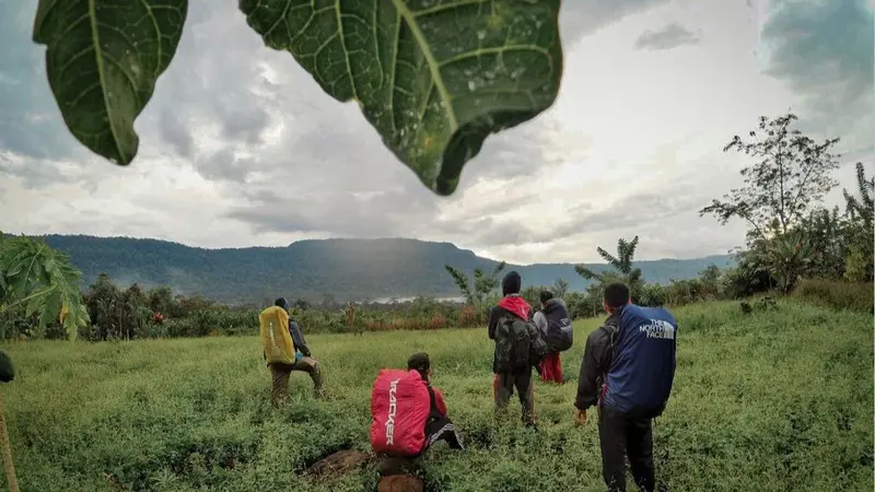 Gunung Niut di Kalimantan