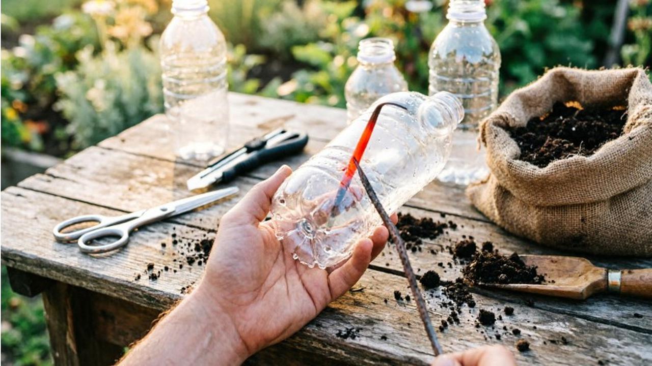Cara Membuat Rumah Bibit Mini dari Botol Bekas (AI Generated)