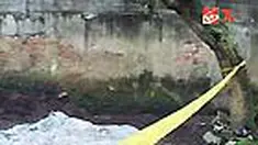 liputan6