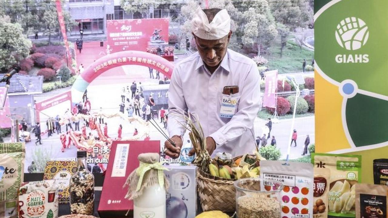 Pertama di Indonesia! Sistem Agroforestri Salak Bali Raih Penghargaan GIAHS FAO, Bukti Kearifan Lokal Mendunia