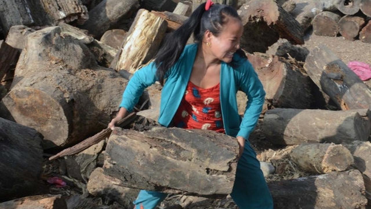 Krisis BBM, pemerintah Nepal jual kayu bakar