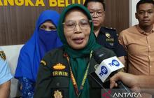 Waspada! Ancaman PPR Domba Babel Kian Nyata, Barantin Perketat Pengawasan Ternak