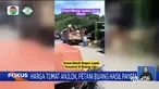 Fokus edisi (27/01) mengangkat berita-berita sebagai berikut, Belasan Nelayan Terombang-ambing di Laut, Banjir Rendam Ratusan Rumah, Berwisata di Negeri Dongeng.