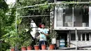 Gambar pada 4 September 2021 menunjukkan seorang pria memeriksa ponselnya sambil berdiri di balkon rumahnya di Hanoi, Vietnam, selama lockdown Covid-19. Menghadap ke jalan yang sepi, balkon kecil mereka menjadi saksi bisu terkait aktivitas yang dilakukan oleh masing-masing keluarga (Nhac NGUYEN/AFP)