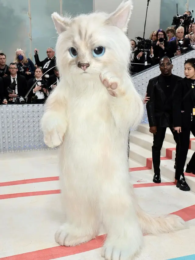 Adu Gaya Imut Jared Leto dan Doja Cat yang Cosplay Jadi Kucing Karl Lagerfeld di Met Gala 2023