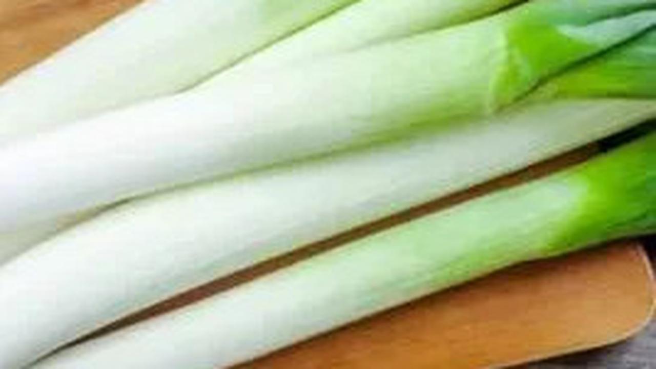 Manfaat Bawang Daun untuk Meningkatkan Imunitas Tubuh dan Cara Mengolahnya