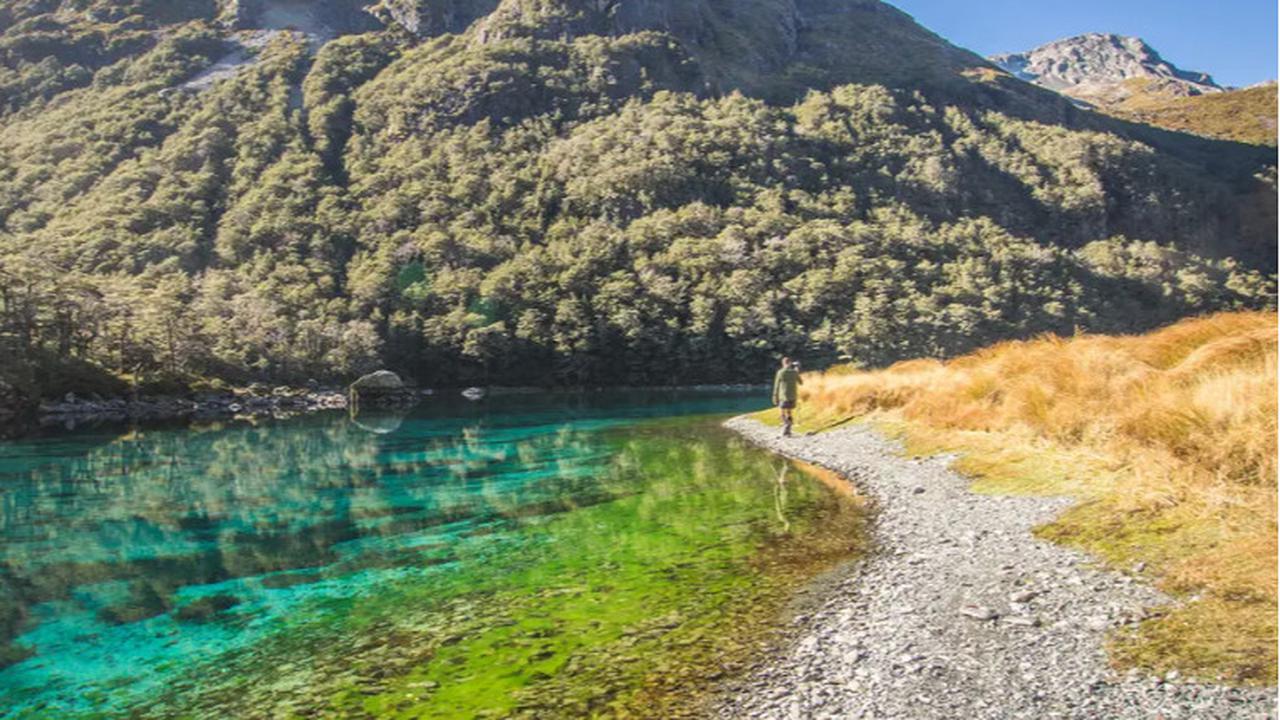 Danau di Selandia Baru Ini Jernih Banget Bak Kaca Transparan, Peneliti Ungkap Faktor Penyebabnya yang Tak Terduga