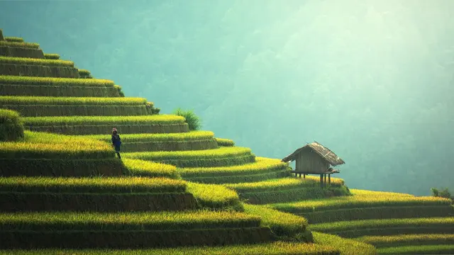 Ilustrasi Pertanian