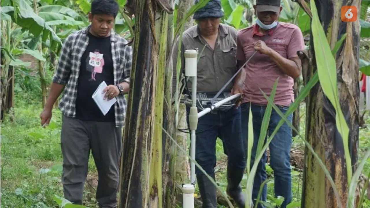 Lokasi penemuan arca Dwarapala dan Jaladwara di Tulungagung (Liputan6.com/Istimewa)
