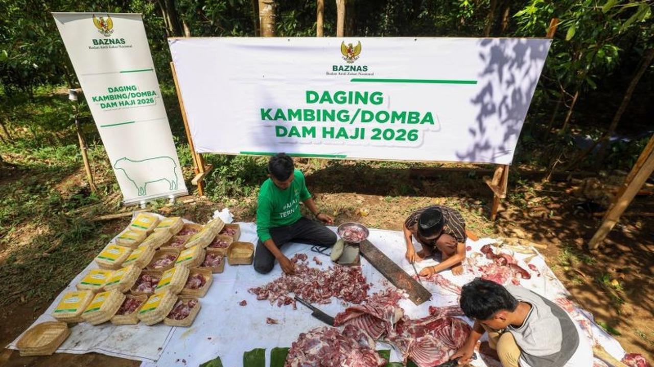 Baznas Salurkan Dam Haji 2026: 1.240 Kambing untuk Mustahik dan Pemberdayaan Peternak Lokal