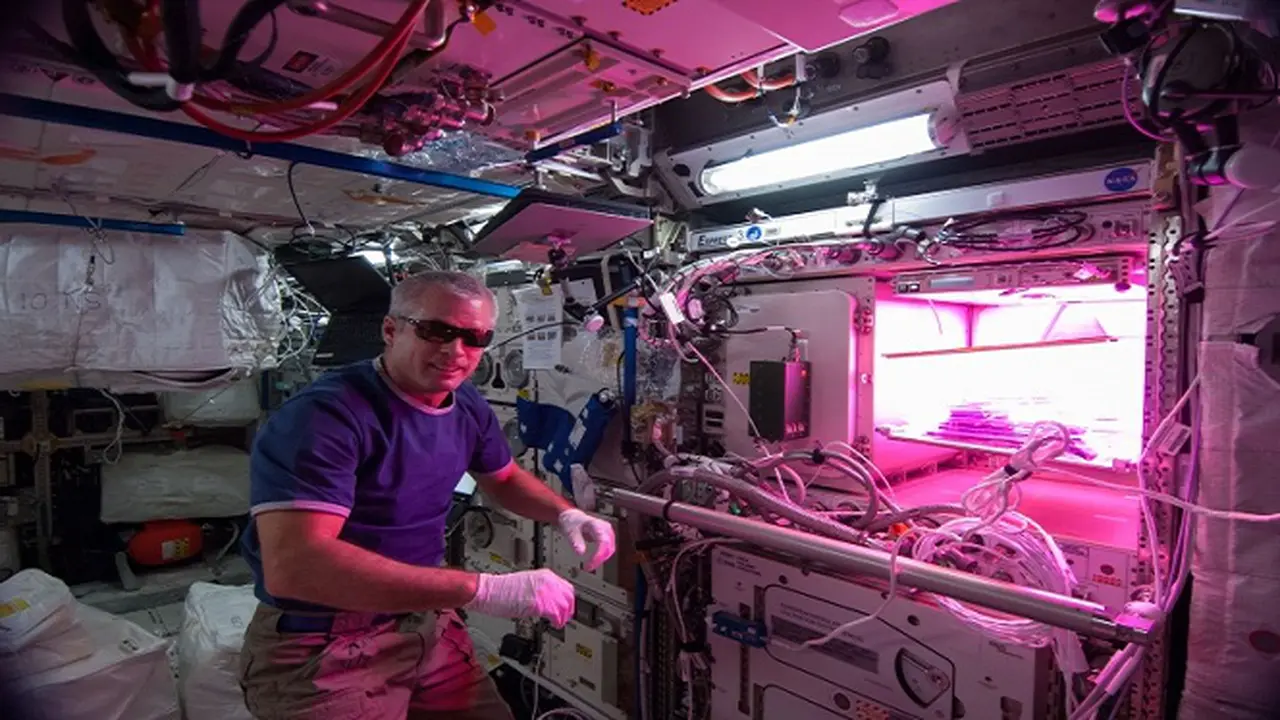 Santapan Astronot: Sayuran Luar Angkasa, Kok Bisa?