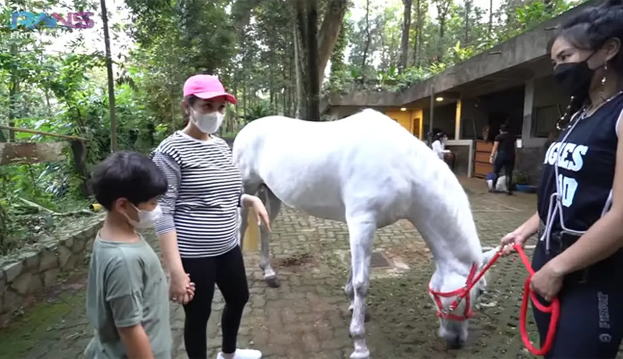 Kuda baru Nagita Slavina (Youtube/ Rans Entertainment)