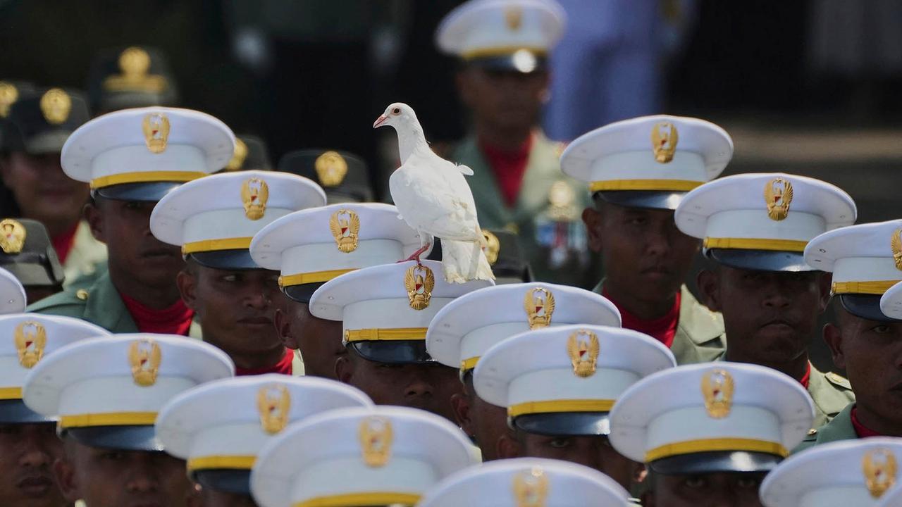 VIDEO: Tertangkap Kamera, Momen Unik Merpati Putih Hinggapi Topi Tentara saat Upacara HUT ke-80 RI